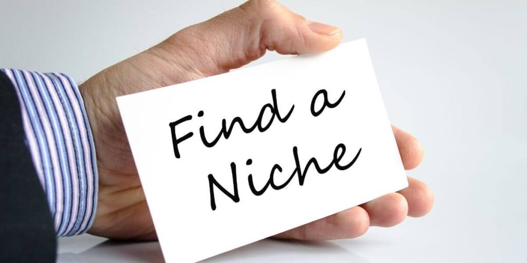 Finding a profitable niche