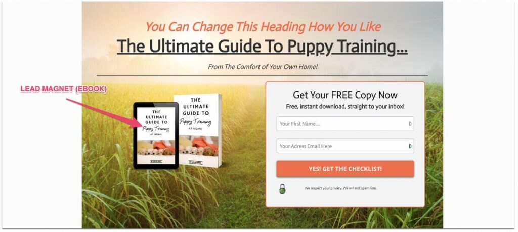 Systeme.io lead magnet example