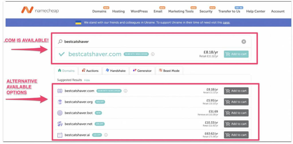 Namecheap domain results